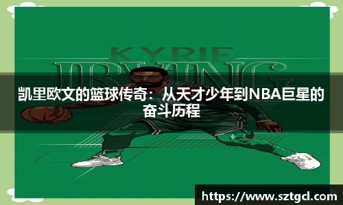 jn江南·体育登录入口
