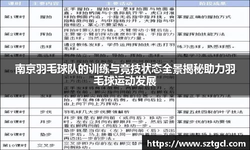 南京羽毛球队的训练与竞技状态全景揭秘助力羽毛球运动发展