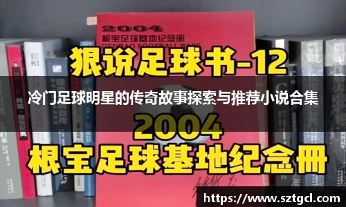 冷门足球明星的传奇故事探索与推荐小说合集